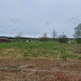 Prodej stavební parcely 1769 m² Čejkovice