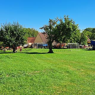 Prodej stavební parcely 1160 m&sup2; Dolní Bukovsko