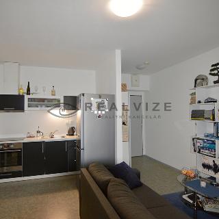 Pronájem bytu 1+kk, garsoniery 35 m² České Budějovice