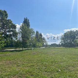 Prodej stavební parcely 1 254 m² Dívčice, 