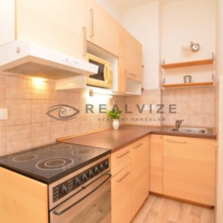 Pronájem bytu 1+1 37 m² České Budějovice
