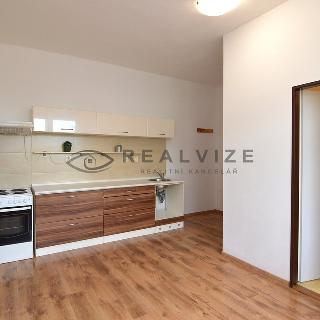 Pronájem bytu 1+1 40 m² České Budějovice, Dobrovodská