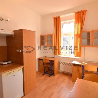 Prodej bytu 1+kk a garsoniéry 19 m² České Budějovice, Šumavská