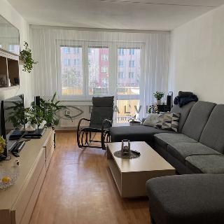 Prodej bytu 3+1 73 m² České Budějovice, Krčínova