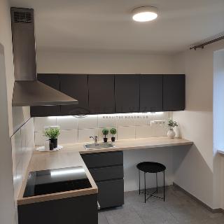 Pronájem bytu 1+1 29 m² České Budějovice, Hálkova