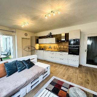 Pronájem bytu 3+kk 63 m² České Budějovice, Skuherského