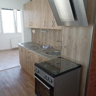 Pronájem bytu 2+1 56 m² České Budějovice, Budivojova