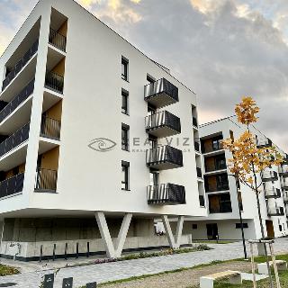 Pronájem bytu 2+kk 55 m² České Budějovice, Vrbenská