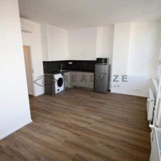 Pronájem bytu 1+kk, garsoniery 28 m² České Budějovice
