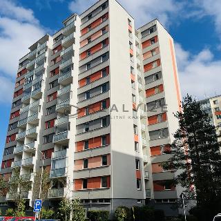 Prodej bytu 1+kk a garsoniéry 27 m² České Budějovice, Dlouhá