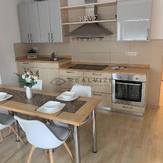 Pronájem bytu 2+kk 45 m² České Budějovice, Studentská