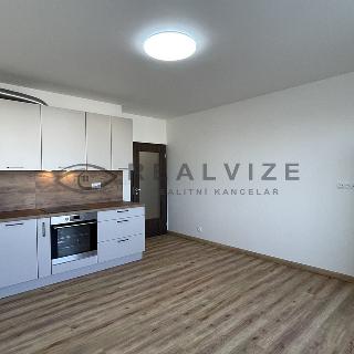 Pronájem bytu 2+kk 55 m² České Budějovice, České Vrbné