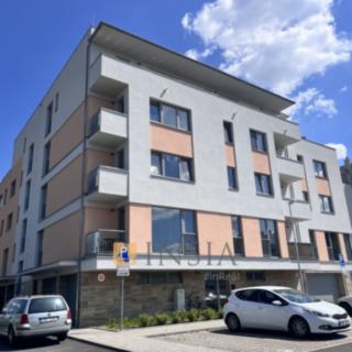 Pronájem bytu 1+kk a garsoniéry 45 m² Kroměříž, Gen. Šišky