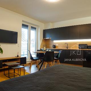 Pronájem bytu 1+kk a garsoniéry 32 m² Kyjov, Havlíčkova