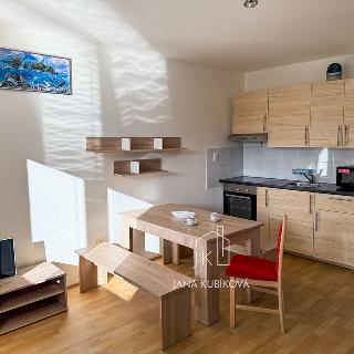 Pronájem bytu 1+kk, garsoniery 32 m² Vacenovice