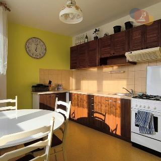 Prodej bytu 1+1 50 m² Olomouc, Handkeho