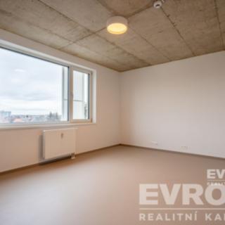 Pronájem bytu 1+kk a garsoniéry 29 m² Hradec Králové Pražské Předměstí, Gočárova třída