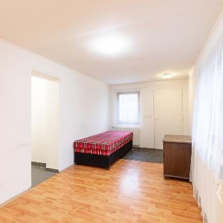 Pronájem bytu 1+kk a garsoniéry 24 m² Tehovec, Na Hrázi