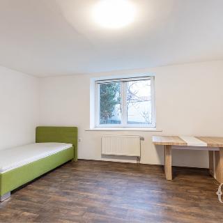 Pronájem bytu 2+1 61 m² Tehovec, Na Hrázi