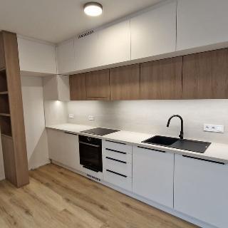 Pronájem bytu 3+kk 79 m² Olomouc, Eduarda Hamburgera