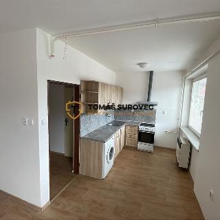 Pronájem bytu 1+kk a garsoniéry 35 m² Francova Lhota, 