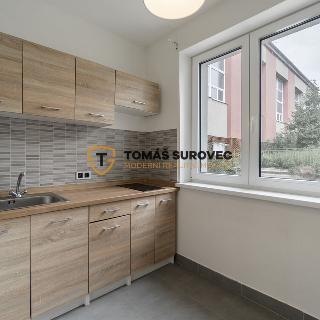 Prodej bytu 1+1 31 m² Počenice-Tetětice