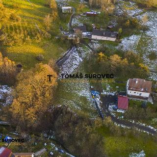 Prodej stavební parcely 780 m² Všemina, 