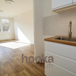 Pronájem bytu 2+kk 44 m² Praha, Přecechtělova