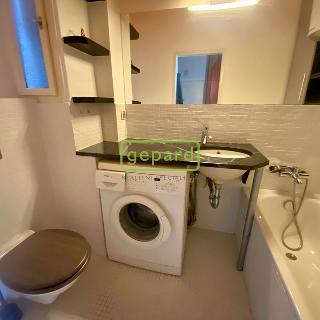 Pronájem bytu 1+kk a garsoniéry 27 m² Praha, Biskupcova