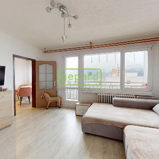 Prodej bytu 3+1 73 m² Ústí nad Labem, Keplerova