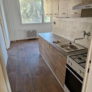 Pronájem bytu 2+1 62 m² Chomutov, Dřínovská