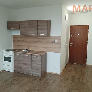 Pronájem bytu 1+1 38 m² Jirkov