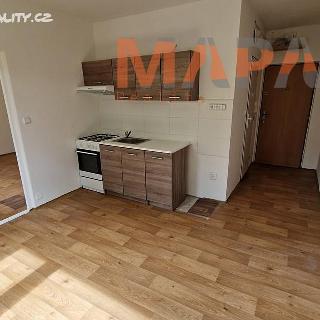 Pronájem bytu 1+1 37 m² Chomutov, Dřínovská