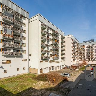 Prodej bytu 1+kk a garsoniéry 31 m² Liberec, Jeronýmova