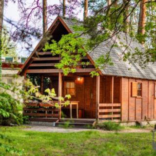 Prodej chaty 33 m² Hamr na Jezeře