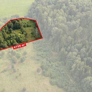 Prodej louky 6 759 m² Liberec, U Tří studní