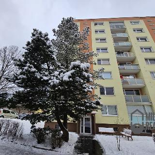 Pronájem bytu 3+1 77 m² Liberec, Fričova