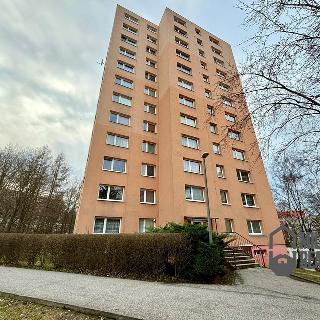 Pronájem bytu 2+1 42 m² Liberec, Vlnařská