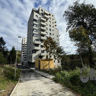 Pronájem bytu 2+kk 62 m² Liberec, Polní