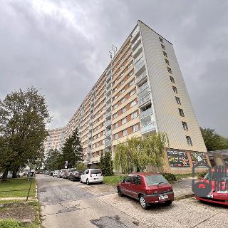 Pronájem bytu 2+1 58 m² Liberec, Na Pískovně