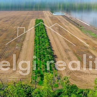 Prodej ostatních pozemků 8494 m&sup2; Zaječí