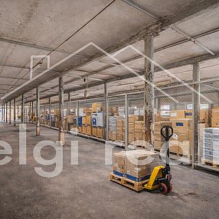 Pronájem skladu 994 m&sup2; Milotice