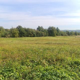 Prodej stavební parcely 2 573 m² Říčany, 