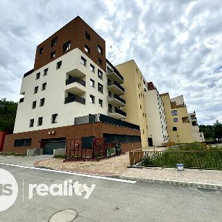 Pronájem bytu 2+kk 44 m² Český Krumlov, Za Jitonou