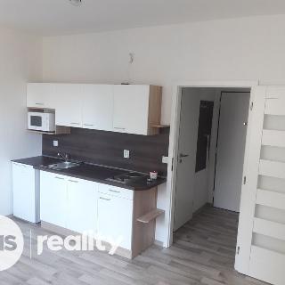 Pronájem bytu 1+kk a garsoniéry 22 m² Opava, Nerudova