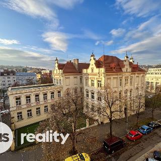 Pronájem bytu 3+kk 74 m² Praha, Nedvědovo náměstí