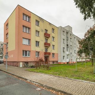 Prodej bytu 2+1 52 m² Hradec Králové, Myslbekova