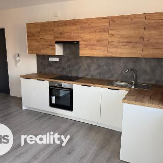 Pronájem bytu 2+kk 46 m² Ostrava, Šenovská