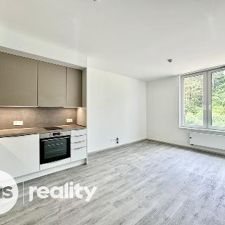 Pronájem bytu 1+kk a garsoniéry 31 m² Český Krumlov, Za Jitonou