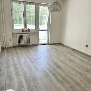 Pronájem bytu 2+1 60 m² Ostrava, Opavská